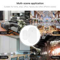 Détecteur de fenêtre intelligent Tuya Zigbee 3.0, système d'alarme de sécurité domestique automatique, sans fil, Alexa Google, capteur de porte de garage Wifi