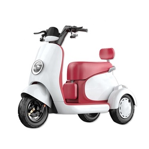 Certifié CE Corps ouvert Enfants Femmes Shopping Tricycles électriques <span class=keywords><strong>pour</strong></span> adultes à bas prix - Product Image 1