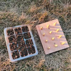12-होल सीड डिब्बर, लकड़ी के हैंडल के साथ डिब्बर गार्डन टूल - Product Image 5