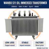 Transformateur de puissance immergé dans l'huile triphasé Wanbo-420 Wanbo S11 400 kVA 10 kV 0,4 kV pour la distribution