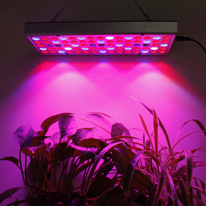 Lampe horticole <span class=keywords><strong>de</strong></span> <span class=keywords><strong>croissance</strong></span> Led, 25W, spectre complet, éclairage pour plante/<span class=keywords><strong>chambre</strong></span> <span class=keywords><strong>de</strong></span> <span class=keywords><strong>culture</strong></span> hydroponique - Product Image 6