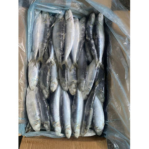 ผลิตภัณฑ์ปลาซาร์ดีนแช่แข็งปลาซาร์ดีน - Product Image 6