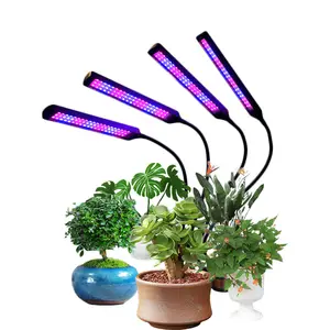 2021 Nieuwe Full Spectrum Led Grow Light Flexibele Clip Lamp 12V 3A
Usb 20W 40W 60W 80W Desktop Groeien Lamp Voor Planten Zaailing