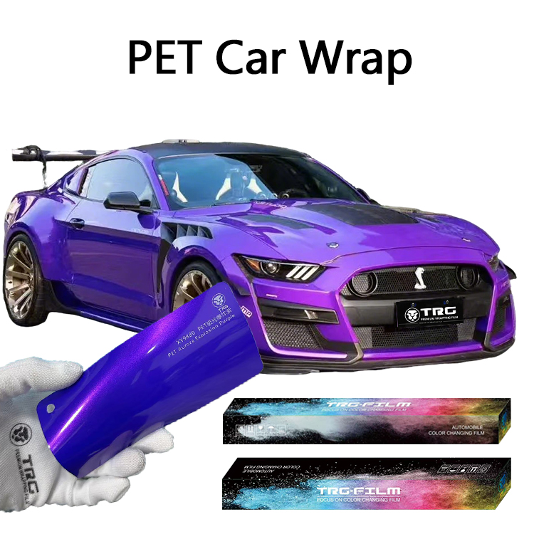 PET Aurora Explosion Purple