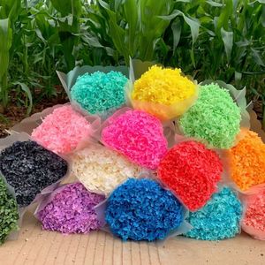 All'ingrosso fiore di decorazione secchi fiori di ortensia colore rosa piccole <span class=keywords><strong>foglie</strong></span> Anna conservato ortensia con singolo gambo lungo - Product Image 1