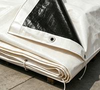 Bâche en polyéthylène robuste, imperméable, résistante aux UV, couleur blanc cassé