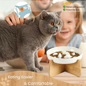 Fabricant de bols et mangeoires surélevées en céramique de luxe personnalisés pour animaux de compagnie, avec fonction de distribution lente pour chats - Product Image 1