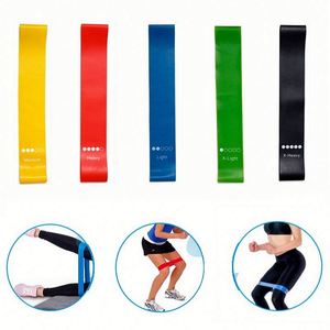 Elastic Loop TPE Resistance <b>Bands</b> Set for Gym Fitness Sports Yoga Exercise Training Body Slimming Portable & Durable - Product Image 2
