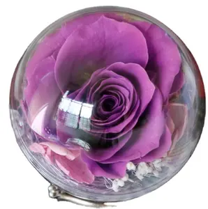 थोक में बेच संरक्षित गुलाब एक्रिलिक गेंद के साथ एक अंगूठी अनन्त फूल पेंडेंट