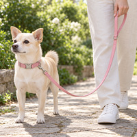 Ensemble collier et laisse pour chien en cuir rose réglable, avec boucle en métal, anneau en D et mousqueton pivotant, pour chiens de taille moyenne