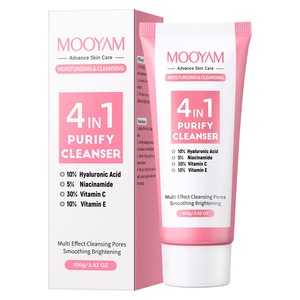 Nettoyant Visage 4-en-1 en Gros Contenant de l'Acide Hyaluronique, de la Niacinamide, du VC et du VE, pour la Beauté, le Nettoyage des Pores, le Contrôle du Sébum et le Raffermissement - Product Image 1