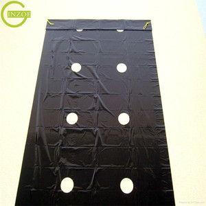 Pellicola per Pacciamatura di Cipolle e Aglio per Frutta del Drago in Offerta Speciale - Product Image 2