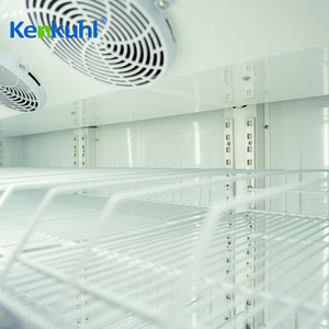 ตู้แช่เย็นแสดงสินค้าแบบตั้งตรง Kenkuhl รุ่น SC1120 พร้อมประตูกระจกและไฟ LED สำหรับขายส่งและร้านสะดวกซื้อ - Product Image 4