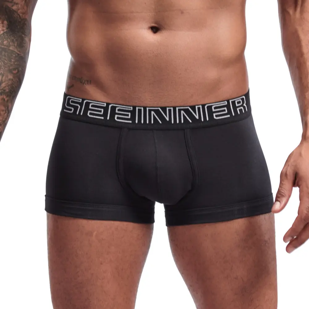Briefs Direct Manufactures Sports Bikini Panties Nylon Inner Wear Transparent Briefs Sexy Mens Silk Underwear Boxer Briefs