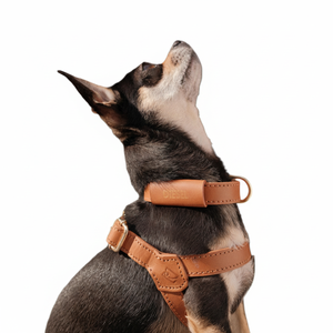 Arnés de cuero ajustable duradero para perros, hecho a mano para mascotas | Ajuste cómodo para perros pequeños y grandes - Product Image 1