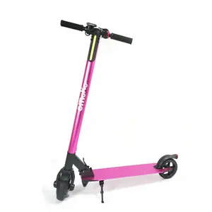 Scooter Eléctrico HT-T2 24V 250W, Scooter Eléctrico Plegable Pequeño e Impermeable para Niños, Scooter Eléctrico Citycoco - Product Image 1