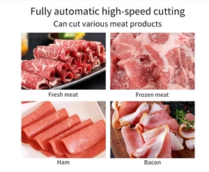 Affettatrice Industriale per Carne Congelata Poweradd Frozen 150W, Macchina per Tagliare Formaggio e Carne 110V/220V/380V - Product Image 6