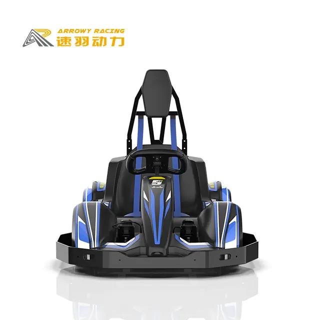 ใหม่ล่าสุดยอดนิยมไฟฟ้า Go Kart สําหรับผู้ใหญ่เกมแข่งรถครอบครัวปรับ Steel Kart พร้อมโหมดมอเตอร์ไดรฟ์สําหรับ Karting