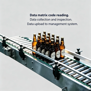 Línea de Seguimiento de Paletas de Botellas Totalmente Automática con Lectura de Códigos de Matriz de Datos, Inspección y Carga de Datos al Sistema de Gestión - Product Image 2