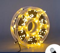 Guirlandes lumineuses LED F8 transfrontalières 220V ciel étoilé ingénierie lumières décoratives arbre-emballage et guirlandes d'arbres de base