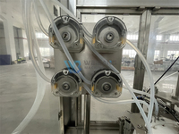 Machine de remplissage et de bouchage automatique de flacons de parfum anti-moustiques à bille roulante WB-Y4