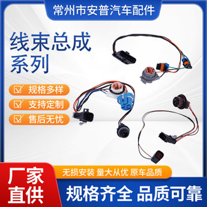 Conjunto de Cableado de 300 mm con Aislamiento de PVC de 12 V IP65 para Instalación Estática en Uso Automotriz - Product Image 5