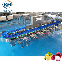 Industriële weeg- en sorteermachine voor noten en gedroogd fruit, op maat gemaakte sorteerlengte.