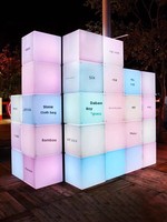 Cubi Luminosi LED Personalizzati con Logo Stampato, IP65, per Esterni, Espositori Visivi per Centri Commerciali
