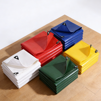 Rouleau de bâche PE enduite personnalisable 100gsm 200gsm avec œillets, robuste et résistant aux déchirures pour abri de voiture et camping