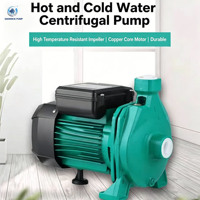 Pompe à eau centrifuge électrique haute pression compacte avec garantie de 24 mois, vente en gros pour l'irrigation domestique et agricole