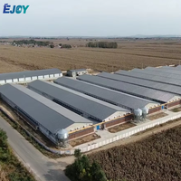 Offre Spéciale : Conception Clé en Main de Poulailler Préfabriqué en Acier avec Équipement Automatisé pour Ferme de 100 000 Poulets de Chair
