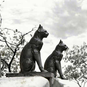 Statue de chat réaliste en bronze coulé, paire assise, sculpture animale pour la décoration de jardin et de cour - Product Image 2