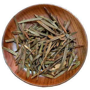 Daun yew Cina alami, daun Taxus chinensis, daun Taxus Yunnanensis kering