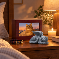 Urne funéraire moderne en bois Zheng Xin pour chat et chien avec cadre photo, cercueil rectangulaire pour fournitures funéraires d'animaux de compagnie