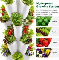 Tour hydroponique à 60 sites sur roues pour la maison et le jardin, système de culture vertical en colonne, hydroponie et aéroponie