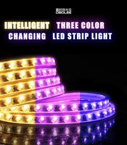Bande LED Flexible RVB 5730 Étanche pour Extérieur, 220V, Sans Pilote, 10MM, pour Panneau Publicitaire, Décoration de Lettres 120D - Product Image 3