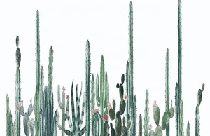 Colorido <span class=keywords><strong>cactus</strong></span> desierto naturaleza Diseño impresión tamaño grande personalizado hasta 3*5m y 3,2*10M/pieza mural de pared de tela de gama alta - Product Image 2