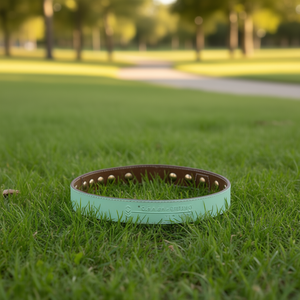 Collar de Cuero para Perro UFBemo, Piel de Vaca, Hebilla Ajustable, Decoración con Remaches, Elegante, Moderno, Clásico, Duradero, Lavable - Product Image 2