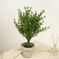 Pohon Buatan 21CM Warna Hijau Muda Rosemary Pohon Bonsai Kecil dengan Pot Pulp Vintage Tanaman Herbal Mini dalam Pot untuk Dekorasi Rumah