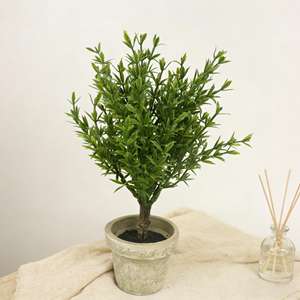 Arbres artificiels de 21 cm, vert clair, <span class=keywords><strong>romarin</strong></span>, petit arbre bonsaï avec pot en pulpe vintage, mini plante en pot pour la décoration de la maison - Product Image 5