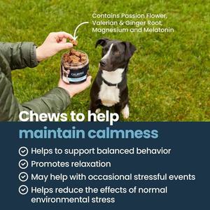 Golosinas Masticables Suaves para Perros de Marca Privada ODM/OEM, Apoyo Inmunológico, Probióticos, Salud Intestinal, Digestión, Suplementos para la Piel, Digestión Sensible y Rápida - Product Image 2