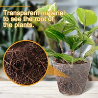 Ensemble de pots de pépinière d'orchidées pour jardin en plastique souple transparent 4 pouces PE Pots de fleurs et jardinières modernes Petite plante en plastique/