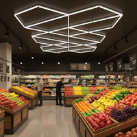 Showcase-verlichting voor diamanten, 6500K, 120lm/W, PC dimbaar, op maat gemaakte geometrische kabelophanging voor fruitwinkels