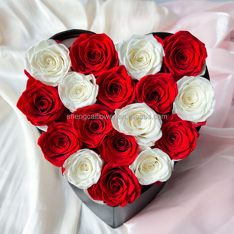 red heart 17 roses  mixed color