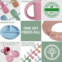 Juego de Platos de Silicona para Bebé, Personalizado, Libre de BPA, con Babero y Vaso con Pajita, Juego de Vajilla de Grado Profesional para Recién Nacidos