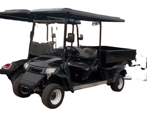 2025 New Design Wholesale Parison 2 Seats 4 Wheel Golf <b>Cart</b> Hunting Steel 48V 2025SDZX12PTPR158 4wheel <b>Tool</b> Golf <b>Cart</b> - Product Image 6