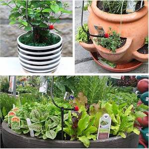 Support capillaire de type C 47 mm pour irrigation goutte à goutte, tige de fixation en plastique noir à insérer dans le sol pour micro-irrigation de jardin - Product Image 4