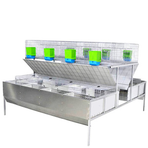 पशु फार्म उपकरण प्रजनन पिंजरे यूरोपीय शैली औद्योगिक मांस खरगोश पिंजरे - Product Image 2