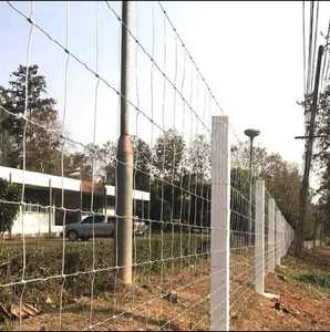 Valla para ganado galvanizada en caliente con estructura de hierro, paneles de bajo mantenimiento a prueba de ovejas y cabras, con rejilla de orificios cuadrados - Product Image 3