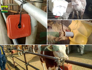 Composto di processo sale nutriente minerale mattoni per bovini ovini essenziale oligoelemento mattoni per la zootecnia - Product Image 6